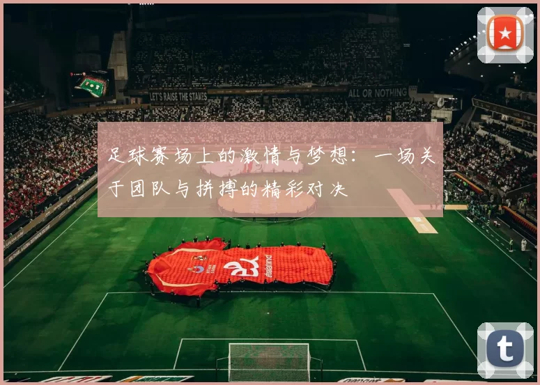 足球赛场上的激情与梦想：一场关于团队与拼搏的精彩对决