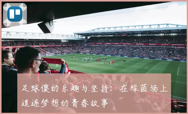 足球傻的乐趣与坚持：在绿茵场上追逐梦想的青春故事